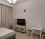 Cozy Studio/Fully Furnished/ Chiller free