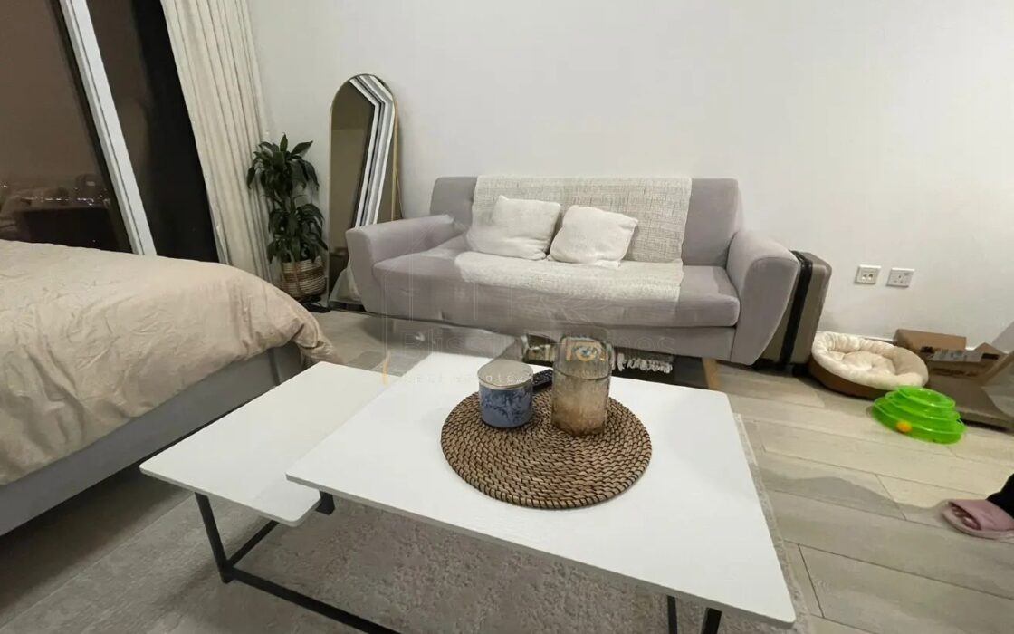Fully Furnished Studio | Bloom Tower C