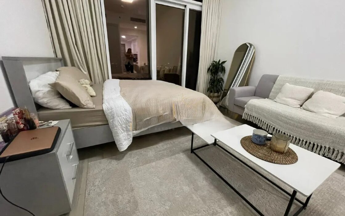 Fully Furnished Studio | Bloom Tower C