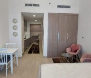 Cozy Studio/Fully Furnished/ Chiller free