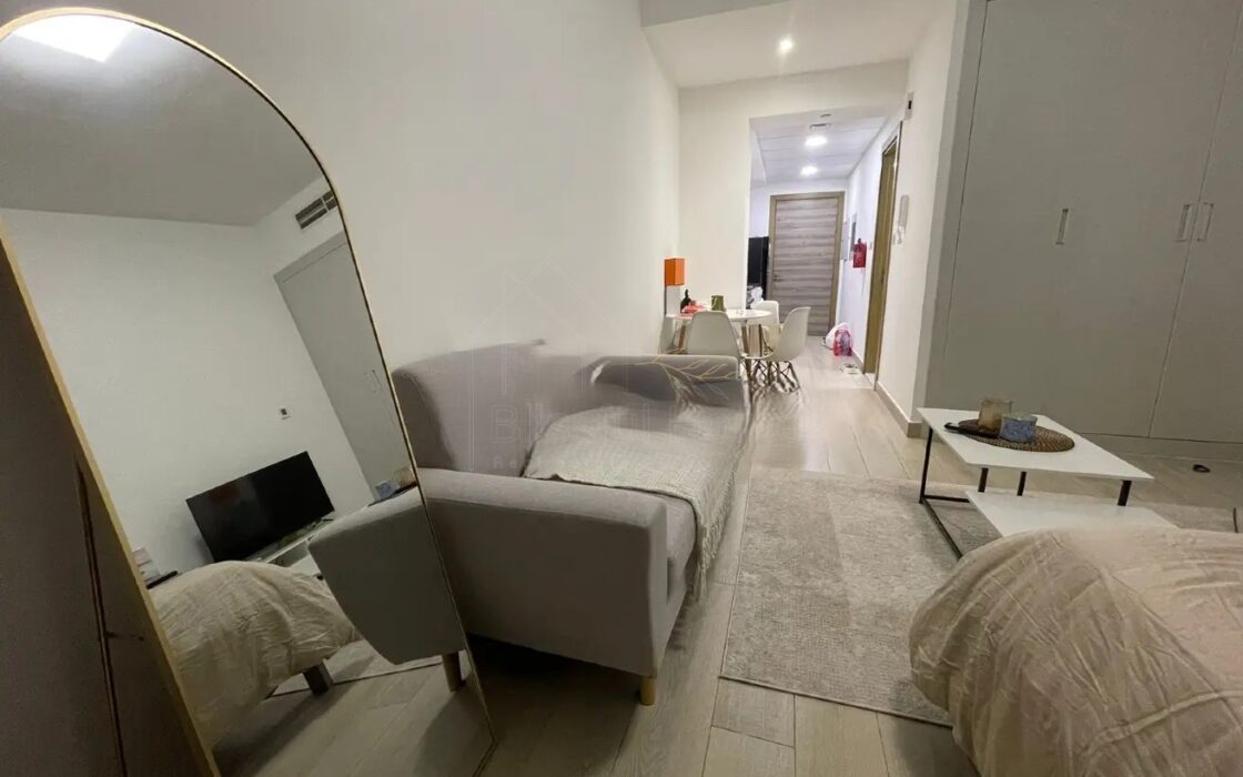 Fully Furnished Studio | Bloom Tower C