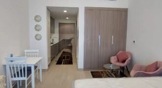 Cozy Studio/Fully Furnished/ Chiller free