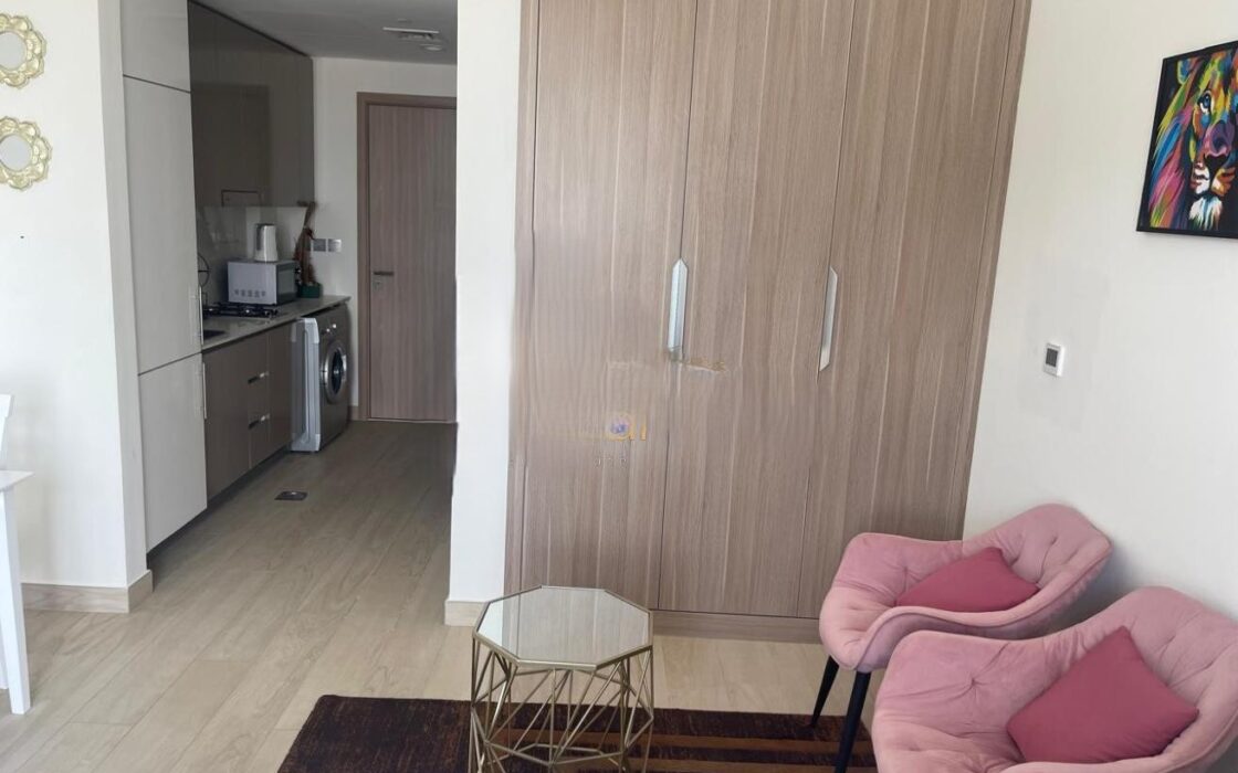Cozy Studio/Fully Furnished/ Chiller free