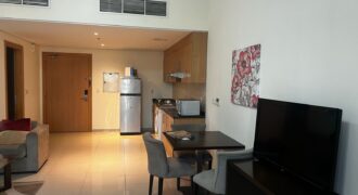 Luxury Studio in Lincoln Park – Prime West Side