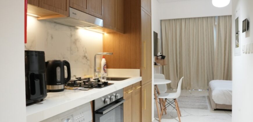Stylish Fully Furnished Studio Apartment for Rent in Azizi Riviera 61