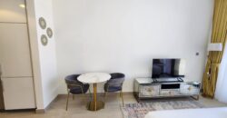 Modern Studio with Community Views for Rent in Azizi Riviera 5 Meydan
