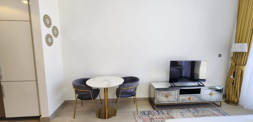 Modern Studio with Community Views for Rent in Azizi Riviera 5 Meydan