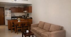 Spacious 1-Bedroom Apartment – Universal Apartment