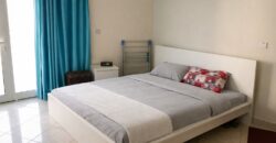 Spacious 1-Bedroom Apartment – Universal Apartment