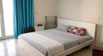 Spacious 1-Bedroom Apartment – Universal Apartment