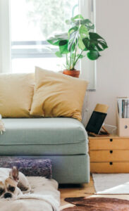 Modern home interior